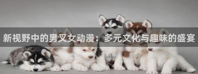 78动漫下载安装