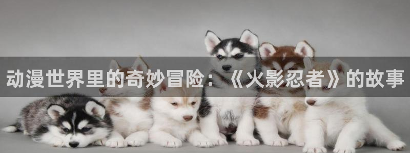 78动漫免费观看