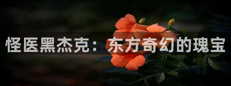 78动漫app